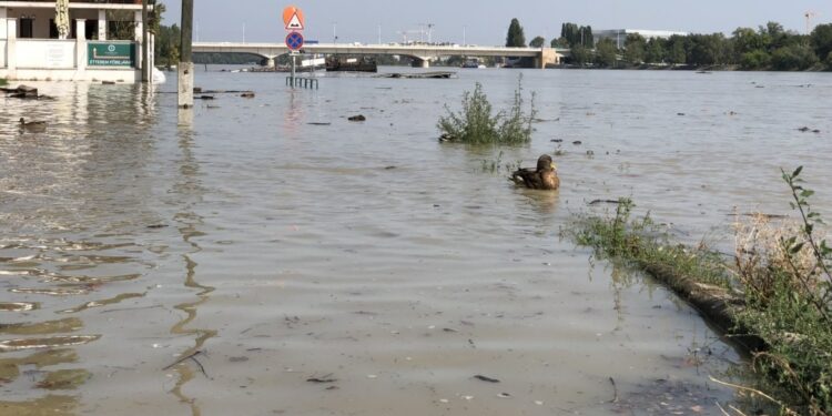 Hungary Braces For Potential Catastrophic Floods As Danube Rises - Radio Free Europe / Radio Liberty