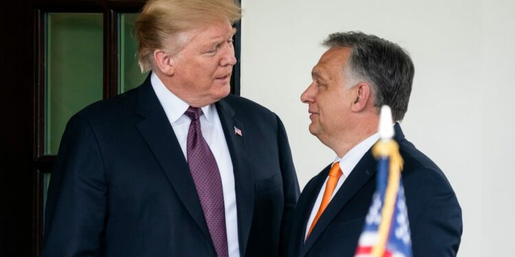 Hungary’s Orbán wishes Donald Trump good luck in phone call – POLITICO