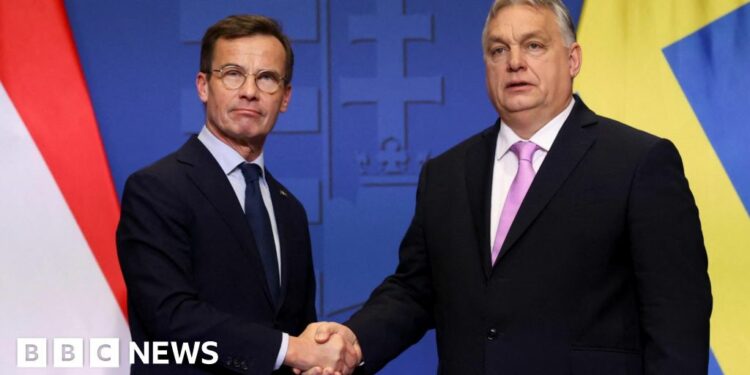 Hungary's parliament clears path for Sweden's Nato membership