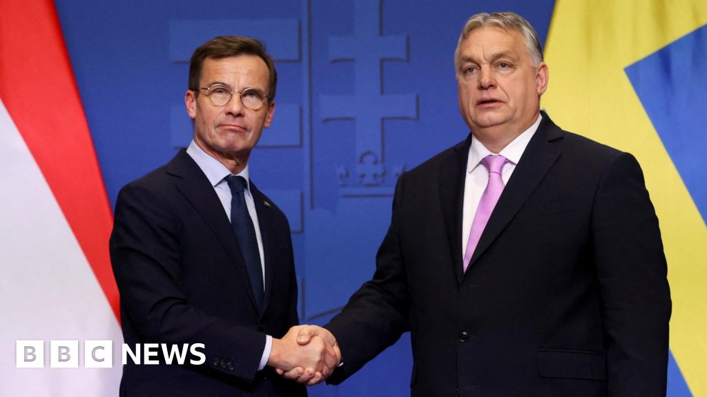 Hungary's parliament clears path for Sweden's Nato membership