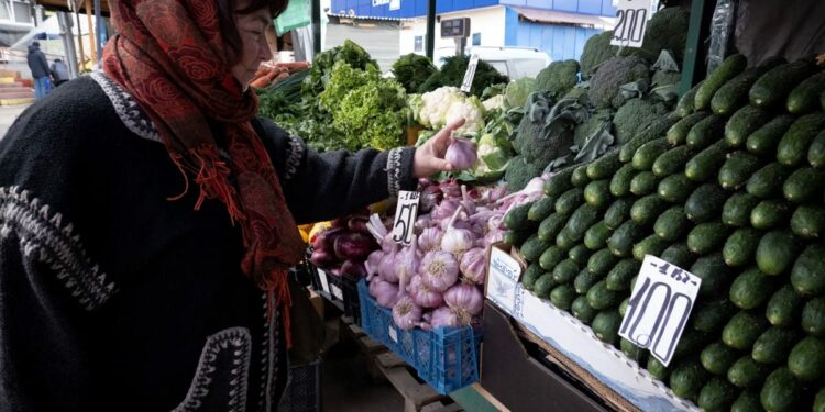 Illegal Russian cucumbers face crackdown by Lithuania – POLITICO