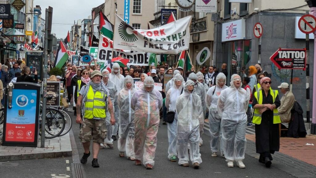 Ireland intends to independently impose economic sanctions on Israel