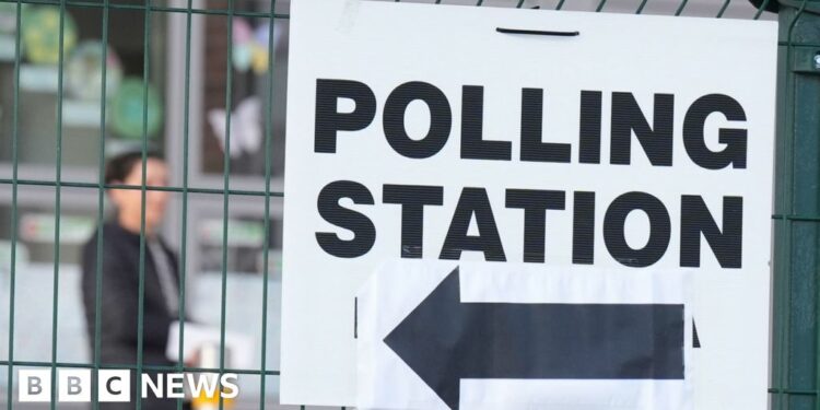 Ireland votes in local and European elections