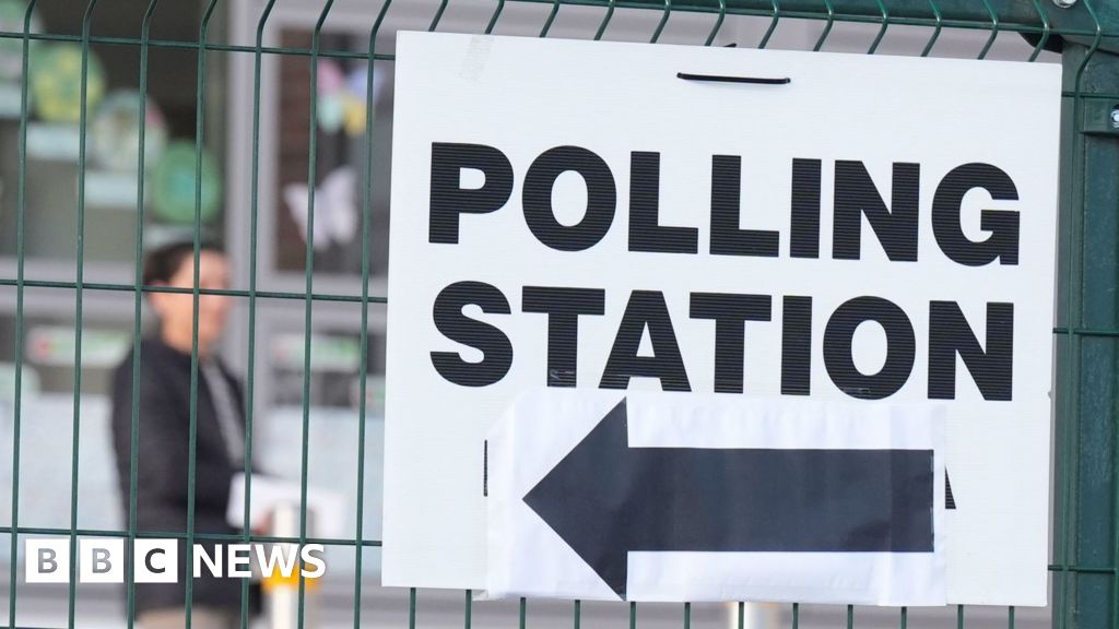 Ireland votes in local and European elections