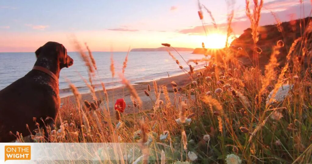 Isle of Wight competes for ‘Most Desirable Island in Europe’ title