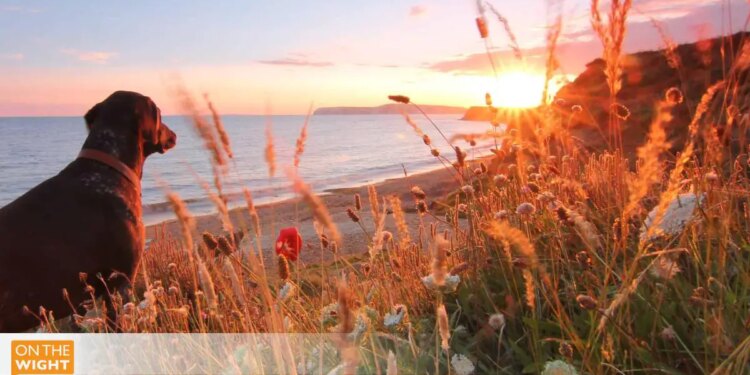 Isle of Wight competes for ‘Most Desirable Island in Europe’ title