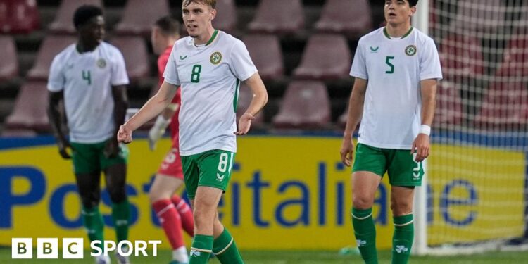 Republic of Ireland players despondent