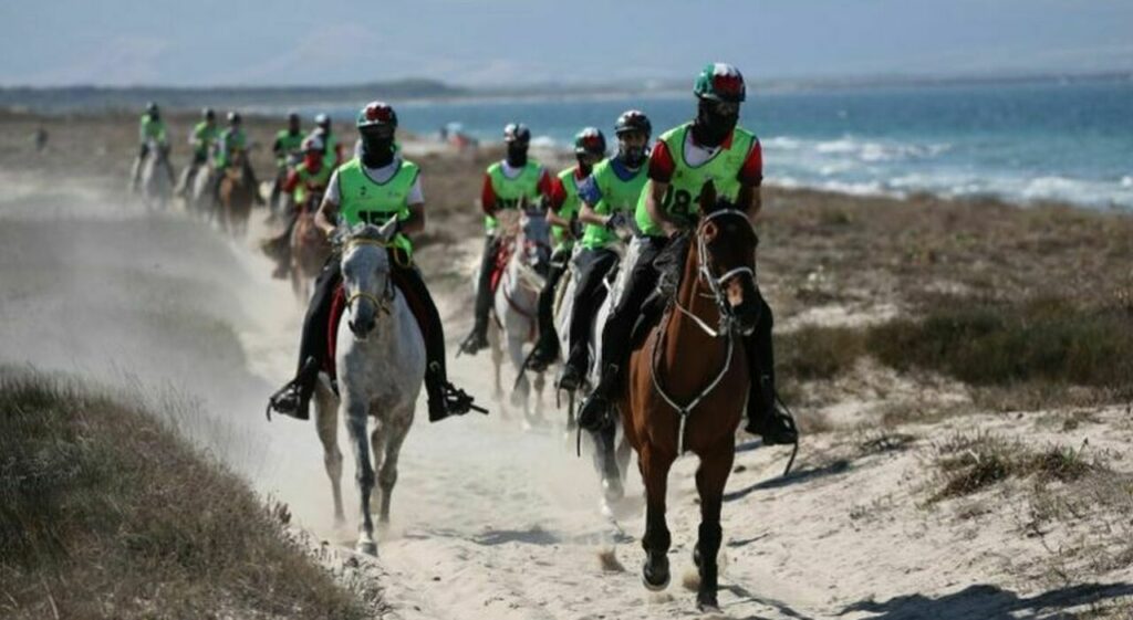 Italy Wins Bronze in Team Endurance at European and World Championships