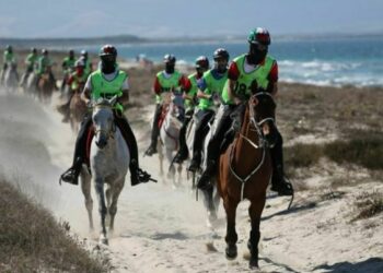 Italy Wins Bronze in Team Endurance at European and World Championships