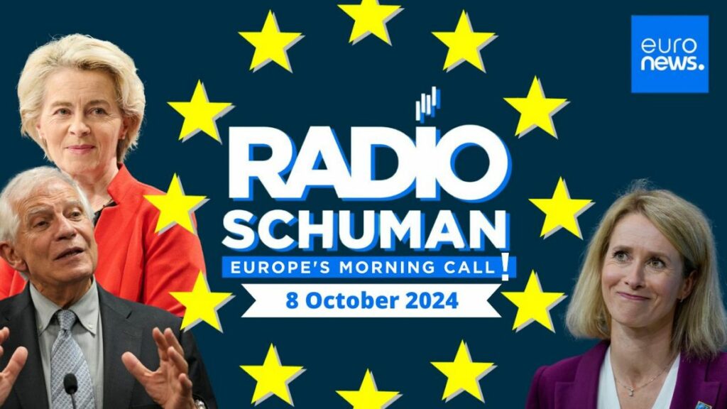 Kallas in, Borrell out: Will the EU lose a counterweight in its Middle East policy?