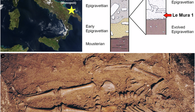 Life history and ancestry of the late Upper Palaeolithic infant from Grotta delle Mura, Italy