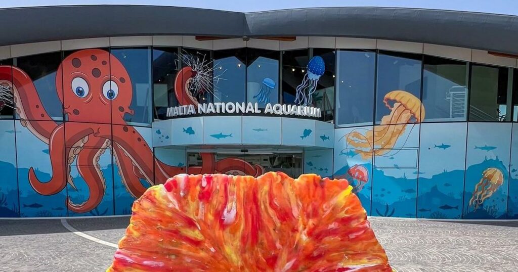 Malta National Aquarium wins European Business Award for environment initiative