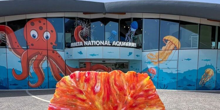 Malta National Aquarium wins European Business Award for environment initiative