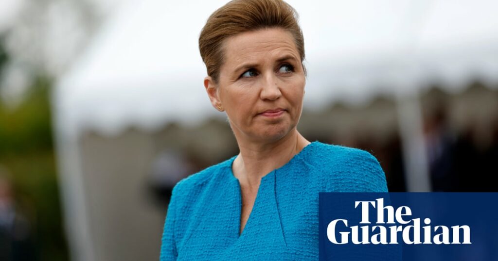 Man arrested after attacking Denmark’s prime minister Mette Frederiksen | Denmark