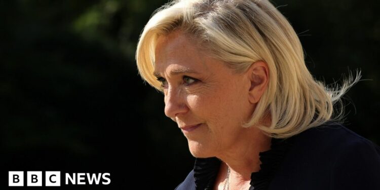 Marine le Pen on trial for alleged EU funds misuse