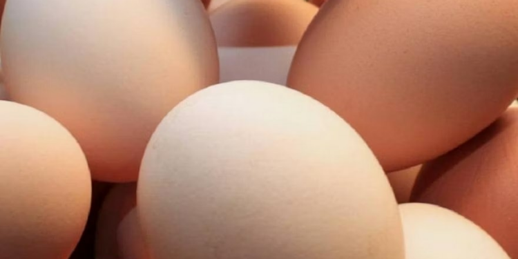 Moldovan farm authorized to export eggs to EU