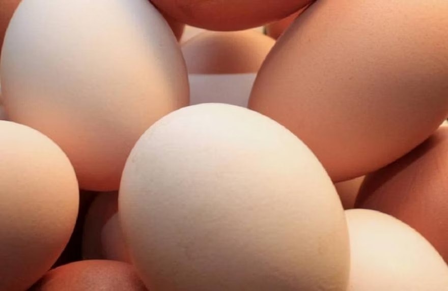 Moldovan farm authorized to export eggs to EU