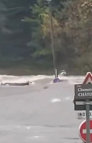Animals were reported to have been carried away by the flood