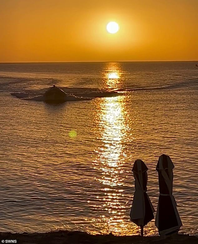 Pictured, the boat can be seen approaching the Greek shoreline with a dazzling sunset behind them