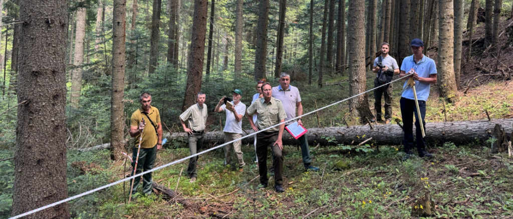 Montenegro positions itself for new approaches in private forest management planning and monitoring