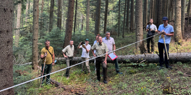 Montenegro positions itself for new approaches in private forest management planning and monitoring