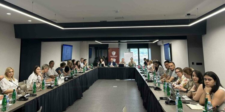 National DRR strategy of Montenegro review workshop