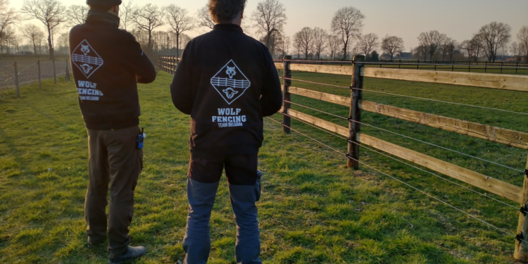 Natura 2000 Award Finalist: Wolf Fencing Team Belgium