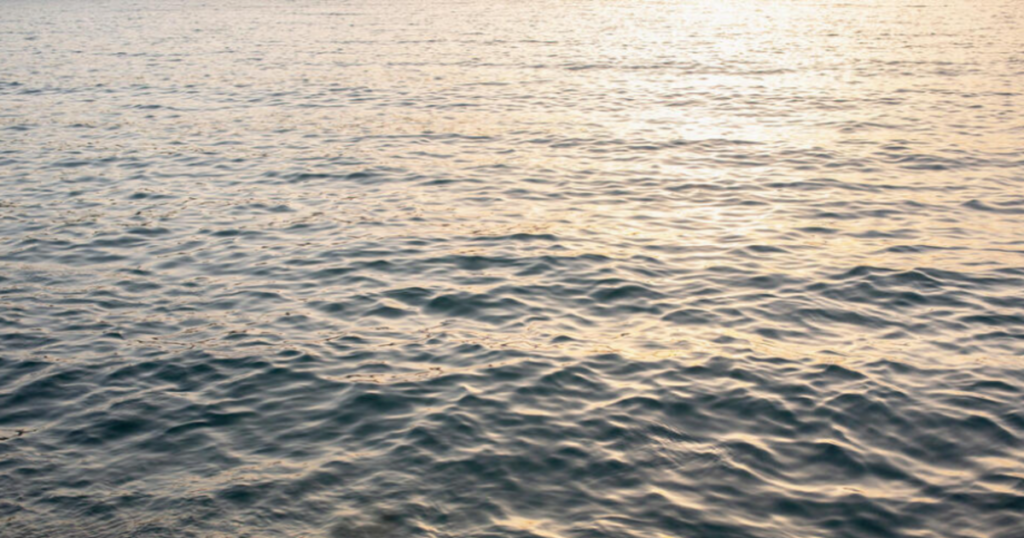 One year on from the tragic shipwreck off Pylos, Greece