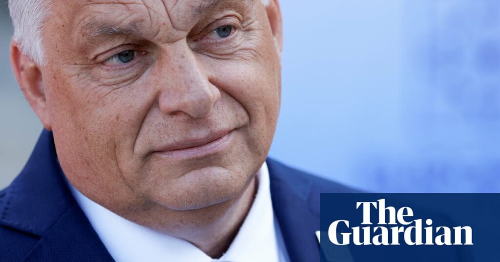 Outrage as Hungary presides over EU talks on democratic standards | European Union