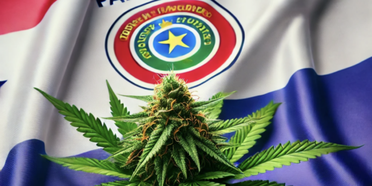 Paraguay To Export 100% Of Its Cannabis Flower Production