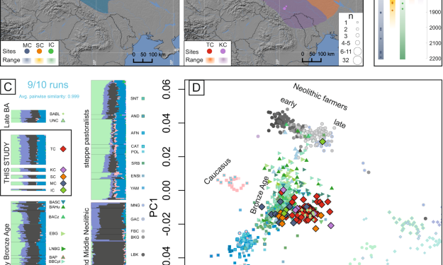 Patrilocality and hunter-gatherer-related ancestry of populations in East-Central Europe during the Middle Bronze Age
