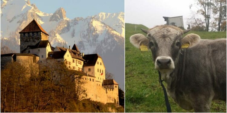 Photos Show What It's Like to Visit Micronation of Liechtenstein