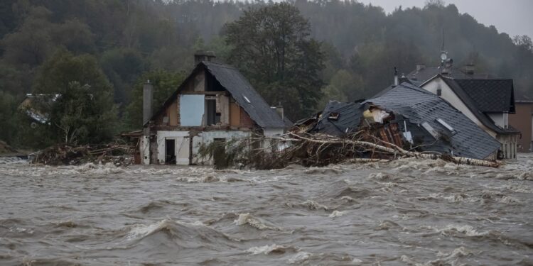 Pictures show floods ravaging Central and Eastern Europe as death toll rises