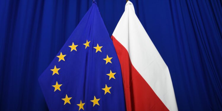 Polish EU Council Presidency: a crucial opportunity for the Central European energy sector