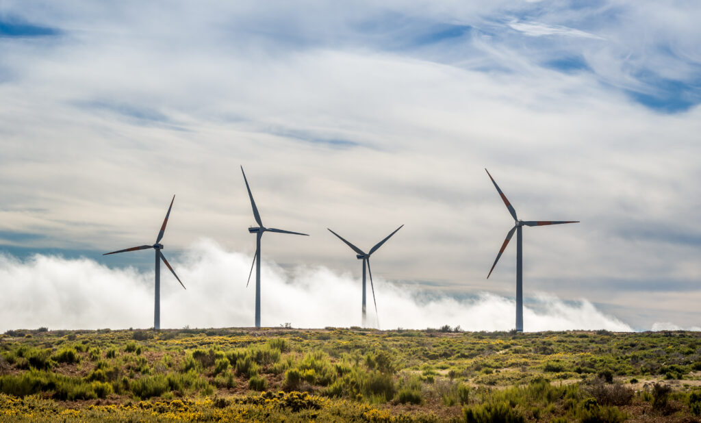 Portugal needs more wind capacity to replace rising Spanish electricity imports