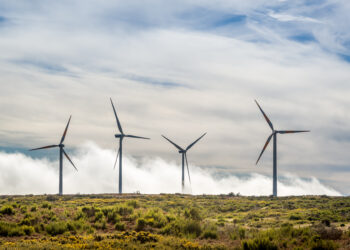 Portugal needs more wind capacity to replace rising Spanish electricity imports