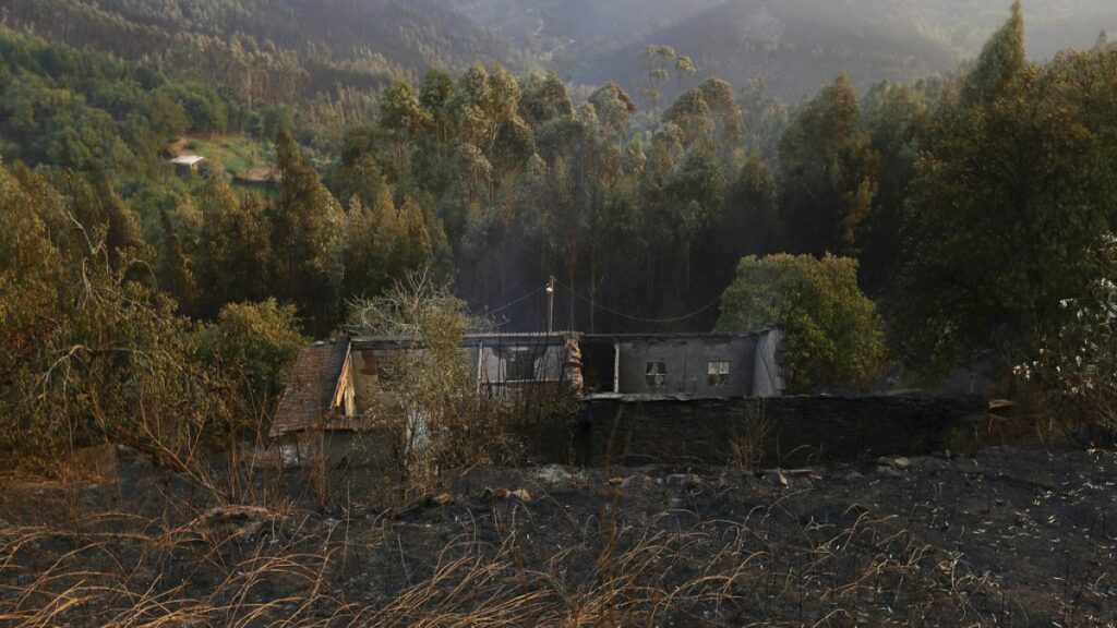 Portugal observes day of national mourning after seven die in wildfires