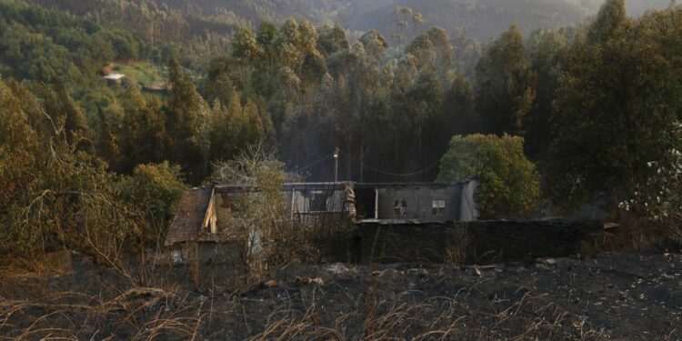 Portugal observes day of national mourning after seven die in wildfires