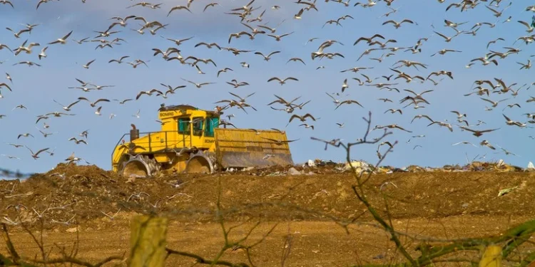 Serbia opens tender for EBRD-backed composting plant project