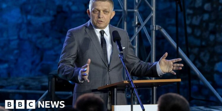 Slovak PM makes first public appearance since assassination attempt