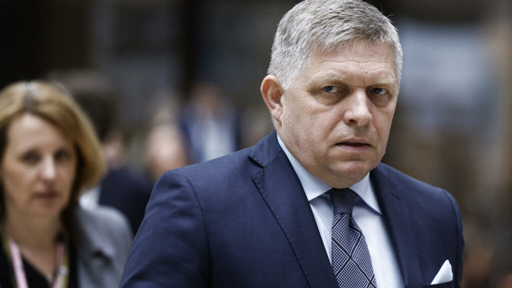 Slovakia’s Prime Minister Fico expected to survive after being shot