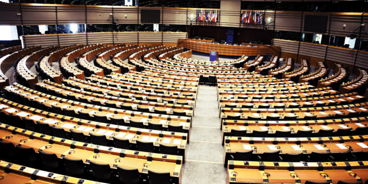 Slovenia will take part in the elections to the European Parliament for the fifth time