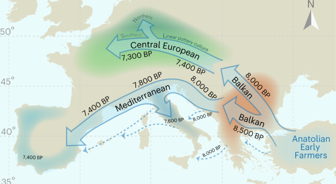 Socio-cultural practices may have affected sex differences in stature in Early Neolithic Europe