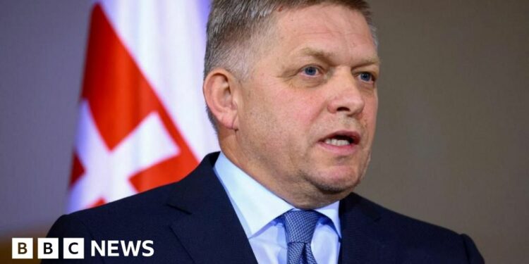 Suspect charged with attempted murder of Slovak PM