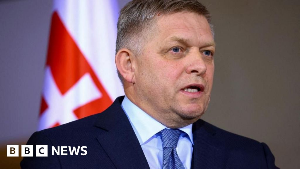 Suspect charged with attempted murder of Slovak PM