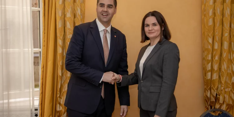 Sviatlana Tsikhanouskaya met with Foreign Ministers of Malta and Liechtenstein