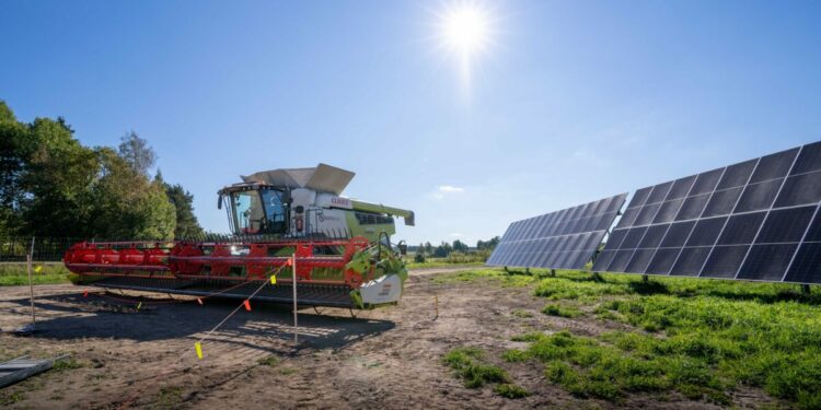 Sweden’s first large-scale agrivoltaic park inaugurated – pv magazine International
