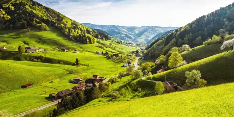 The 15 Most Beautiful Spots In Germany's Black Forest