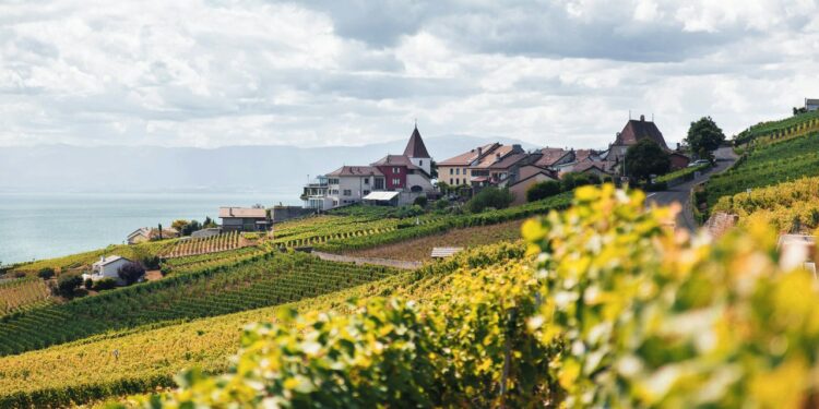 The Best Time to Visit Switzerland