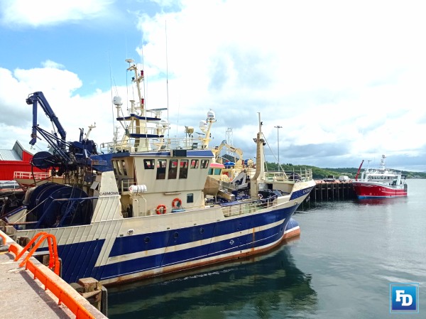 The Paradox of Ireland's Fishing Industry: Rich Waters, Poor Fishermen